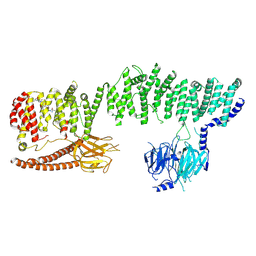 BU of 9qwz by Molmil