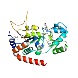 BU of 9s20 by Molmil