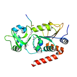 BU of 9s23 by Molmil