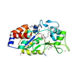 BU of 9s27 by Molmil