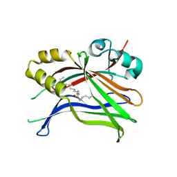 BU of 9s64 by Molmil