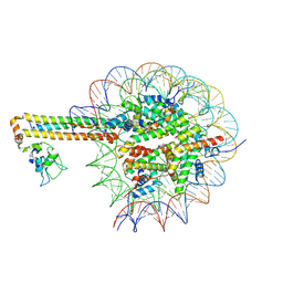 BU of 9si3 by Molmil