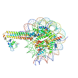 BU of 9sj5 by Molmil