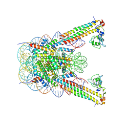 BU of 9slj by Molmil