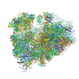 BU of 9spf by Molmil