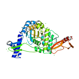 AU of 9ssh by Molmil