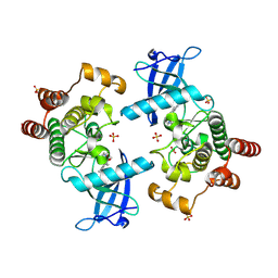 BU of 9u7s by Molmil