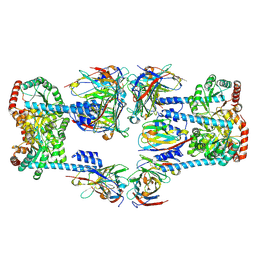 BU of 9ubr by Molmil