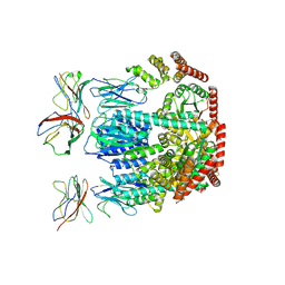 BU of 9ucl by Molmil