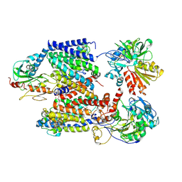 BU of 9ud2 by Molmil