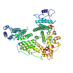 BU of 9upc by Molmil