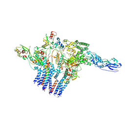 BU of 9uzo by Molmil