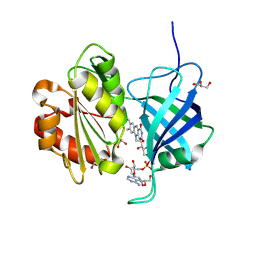 BU of 9v6c by Molmil