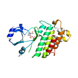 BU of 9v73 by Molmil