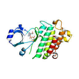 BU of 9v79 by Molmil