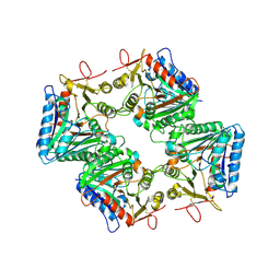 BU of 9vbj by Molmil
