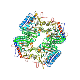 BU of 9vbk by Molmil