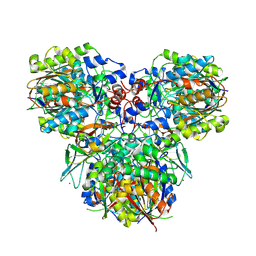 BU of 9vbo by Molmil