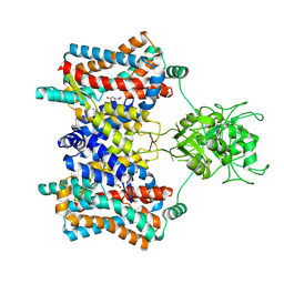 BU of 9vdc by Molmil