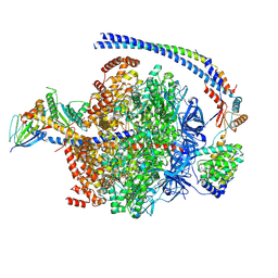 BU of 9vkp by Molmil