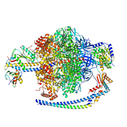 BU of 9vkr by Molmil
