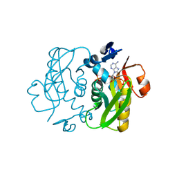 BU of 9vlf by Molmil