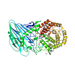 BU of 9vmj by Molmil