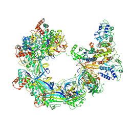 BU of 9vtp by Molmil