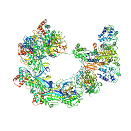BU of 9vtq by Molmil