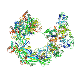 BU of 9vtr by Molmil
