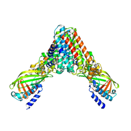 BU of 9vxi by Molmil