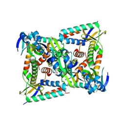 BU of 9w3a by Molmil