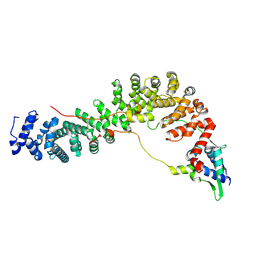 BU of 9w9h by Molmil