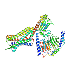 BU of 9wst by Molmil