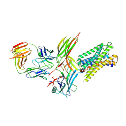 BU of 9wsv by Molmil