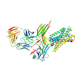 BU of 9wsx by Molmil