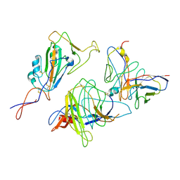 BU of 9xgo by Molmil