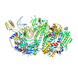 BU of 9y4d by Molmil