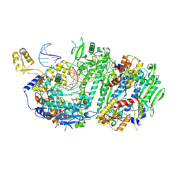 BU of 9y4f by Molmil