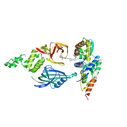 BU of 9ya9 by Molmil