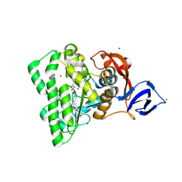 BU of 9yd7 by Molmil