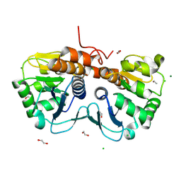 BU of 9ykf by Molmil