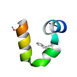 BU of 9ym6 by Molmil