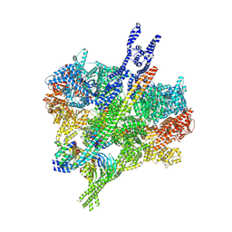 BU of 9ync by Molmil