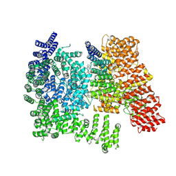 BU of 9yr6 by Molmil