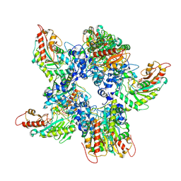 BU of 9z2d by Molmil