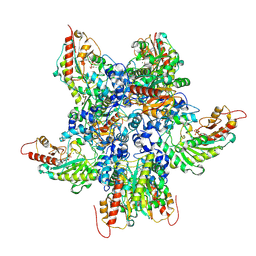 BU of 9z2f by Molmil