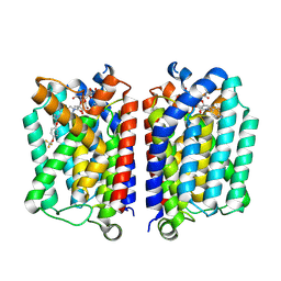 BU of 9zno by Molmil