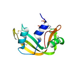 Molmil generated image of 1afk