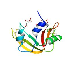 Molmil generated image of 1afl